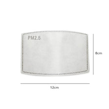 Load image into Gallery viewer, Pm25 Premium Activated Carbon Filter Mask Mouth-Mask FILTER-PAPER Anti-Haze 1/50/100pcs Dropshipping 2020